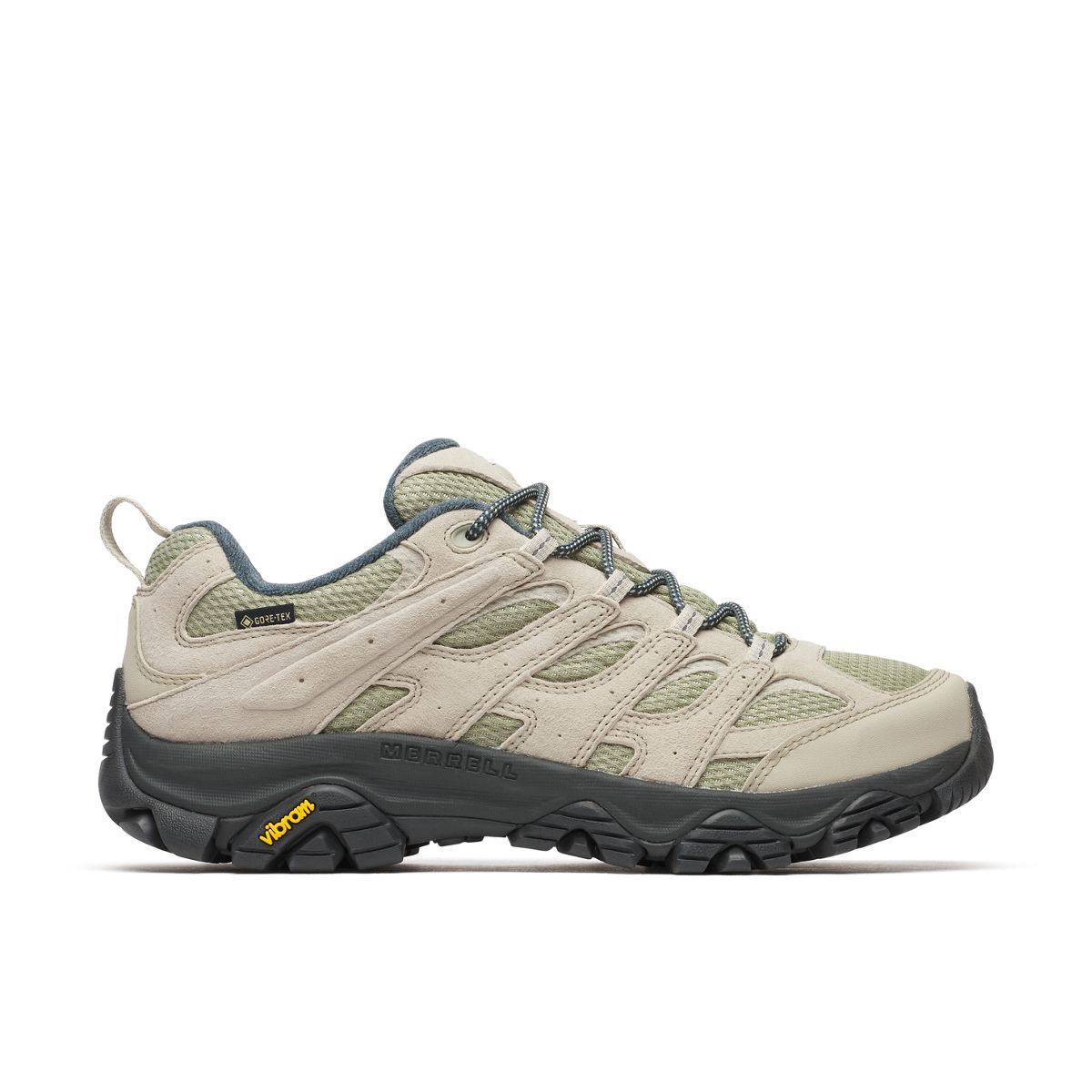 Mens Moab 3 GORE-TEX® Hiking Shoes
